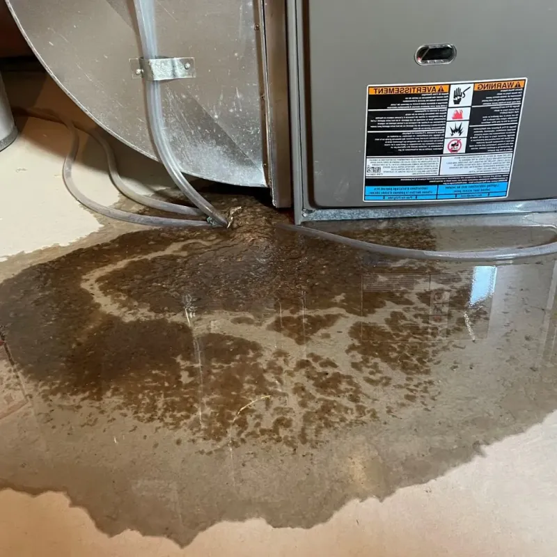Pipe Burst and Leak Restoration in Harrison, NY